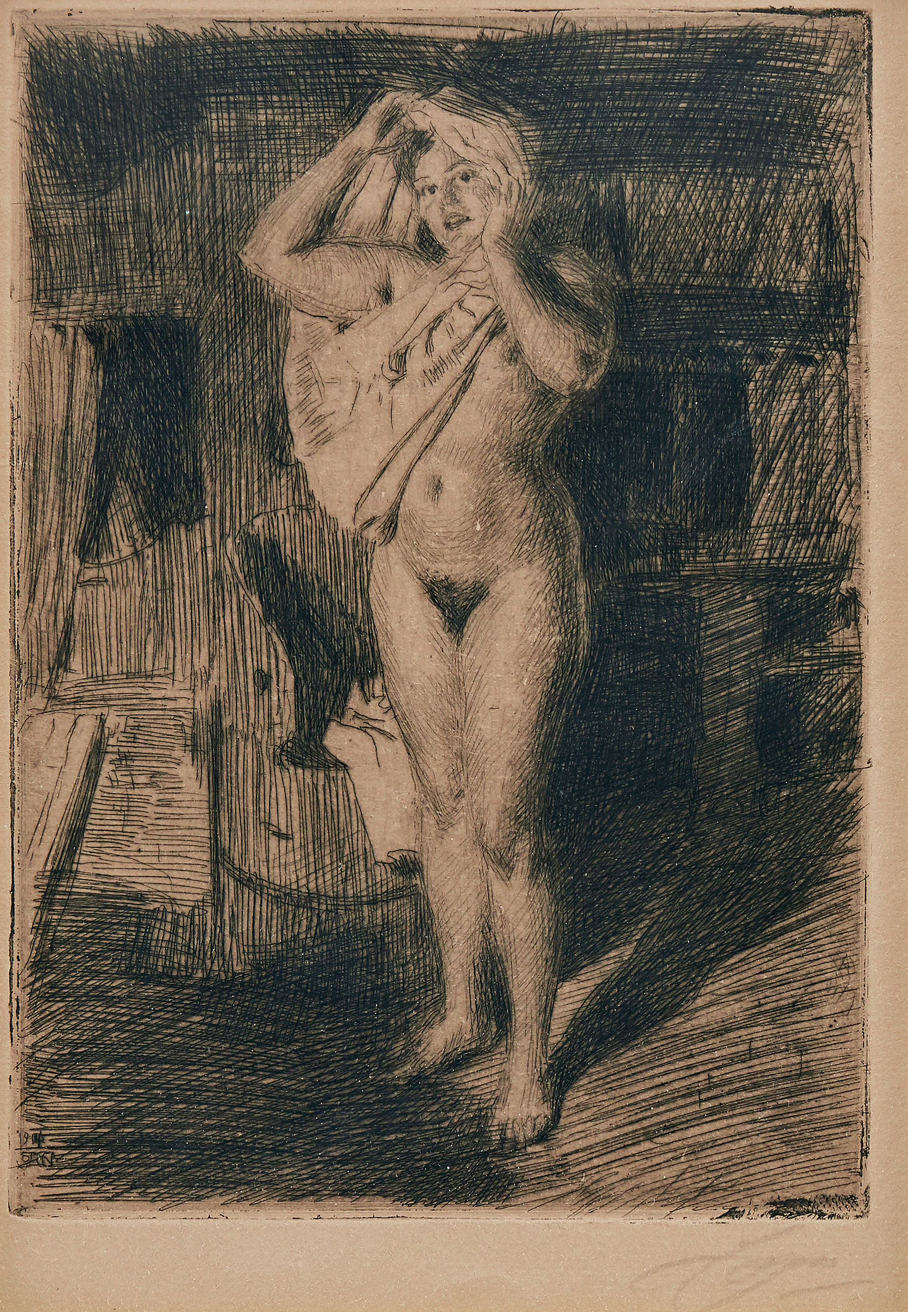 Berserk von Anders Zorn