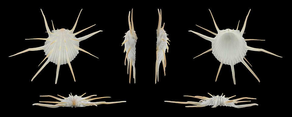 Ein Bild das mir besonders gut gefällt