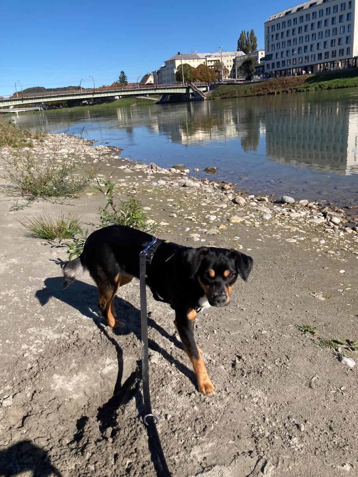 Picture of Brazzo at the Salzach river