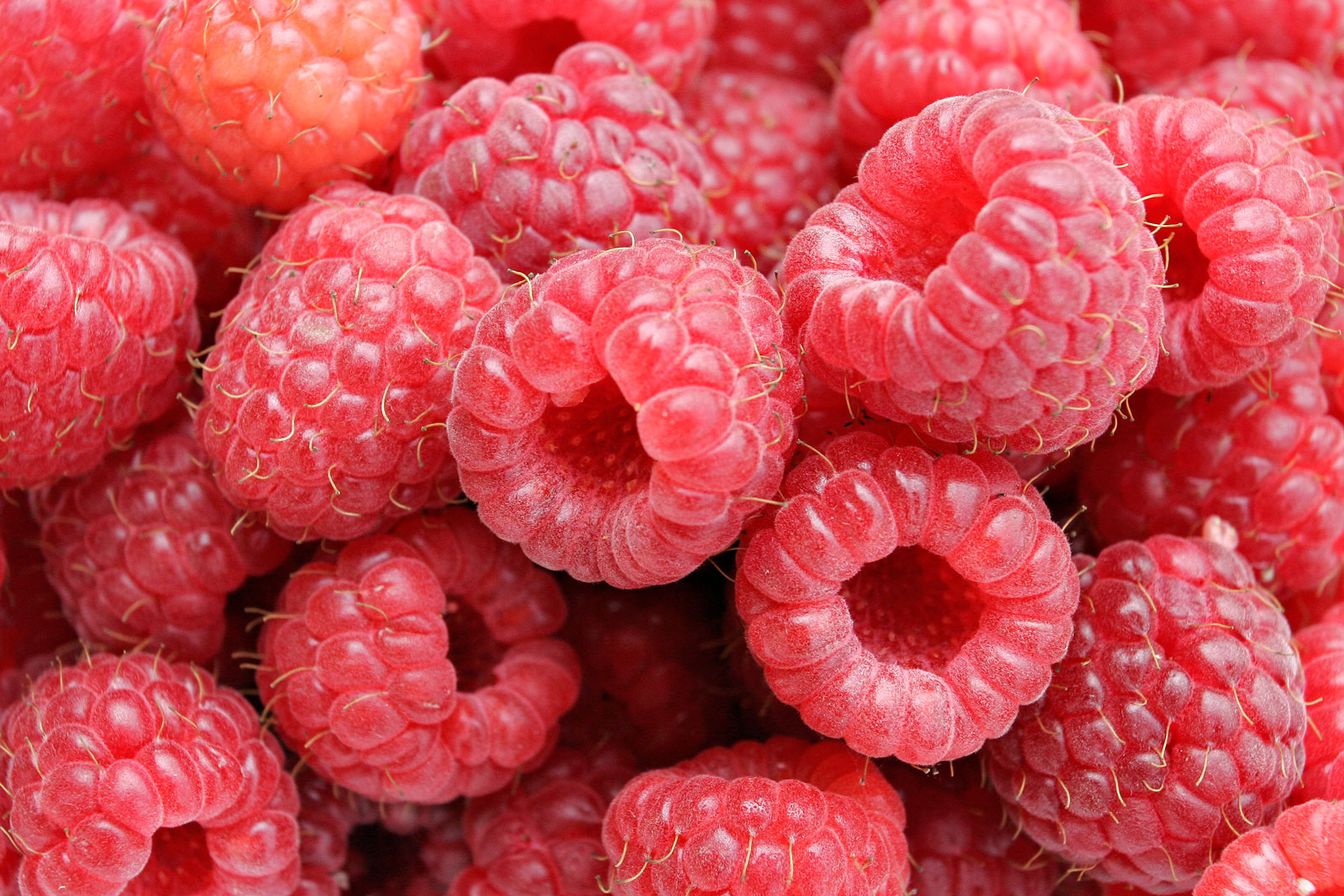 Himbeeren