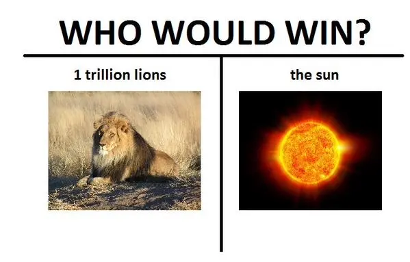 Picture of a lion