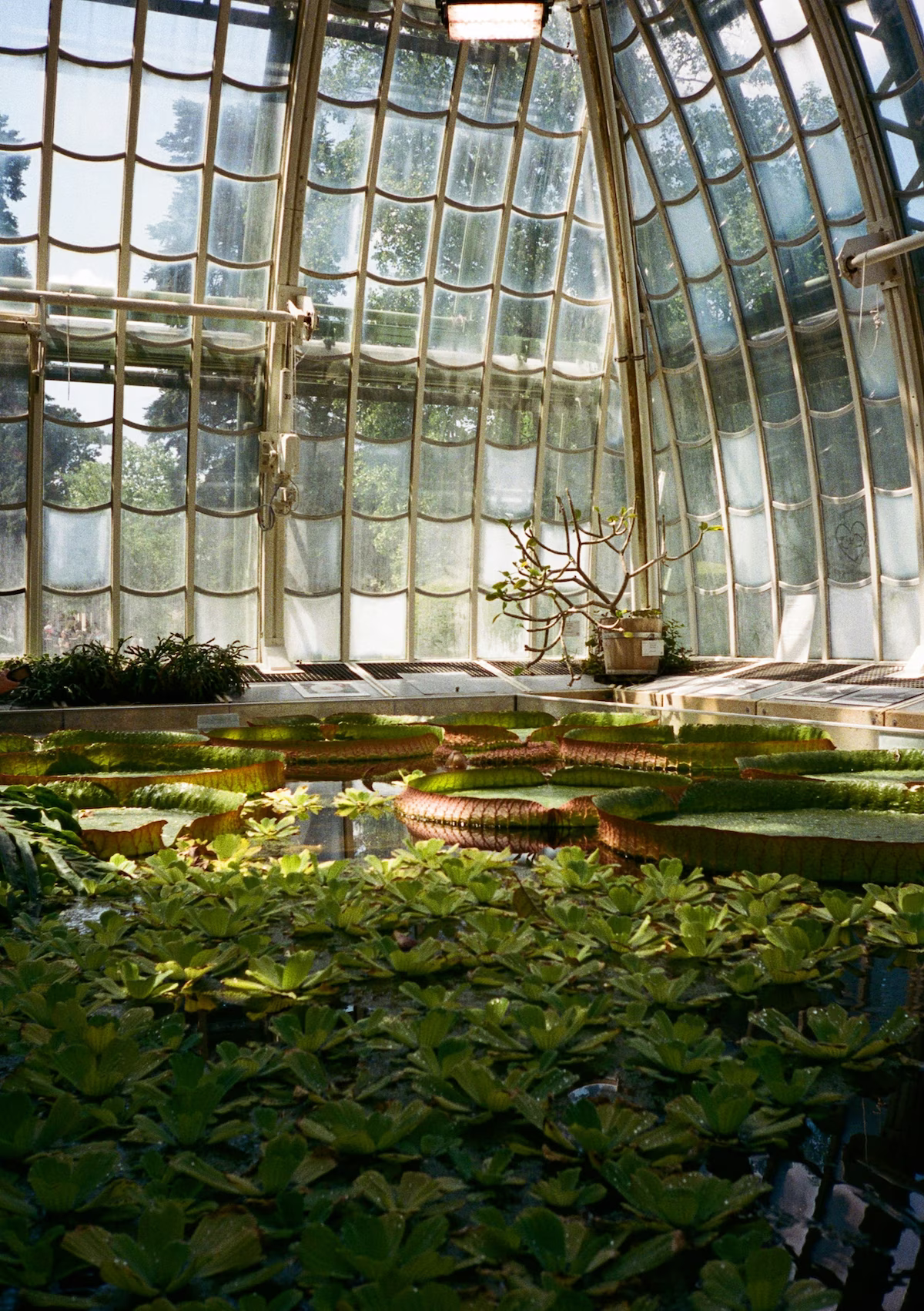 Botanischer Garten
